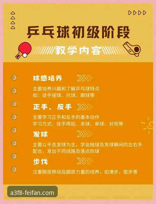 非凡体育使用教程：从零开始的完整指南与实战技巧