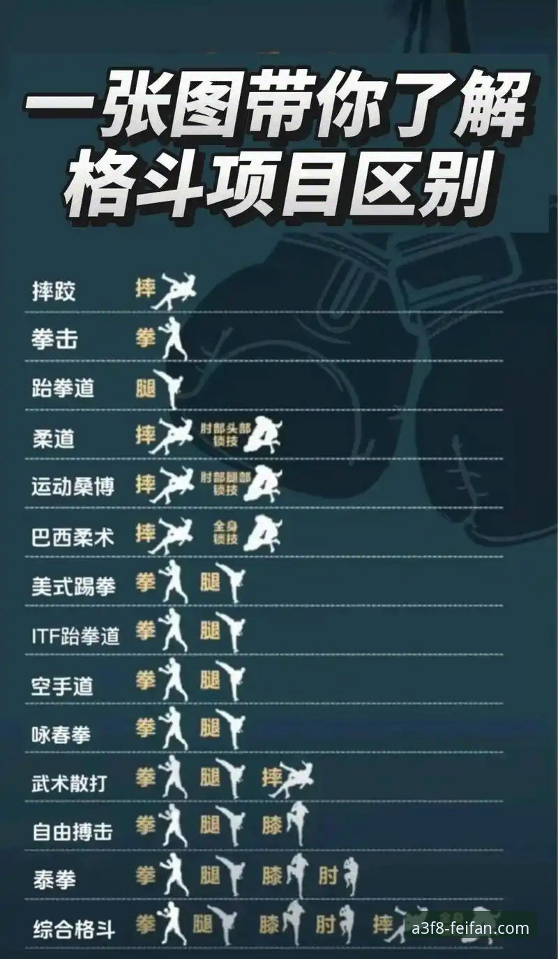 非凡体育顶级对战攻略实用指南：从新手到高手的必备知识
