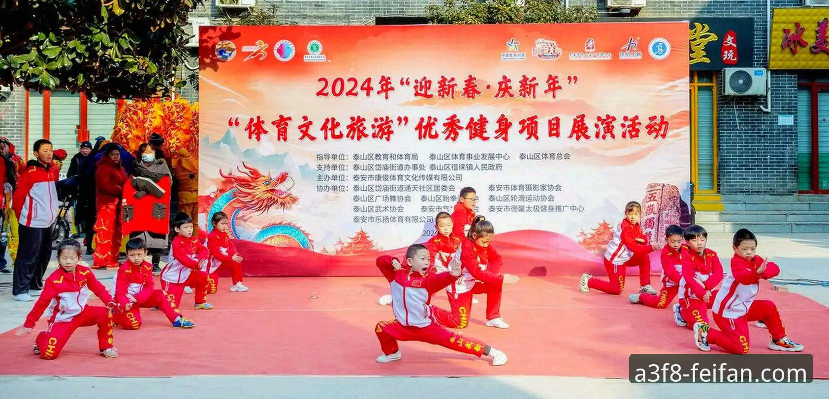 深度揭秘：非凡体育使用教程下载不了怎么办？背后三大真相与解决方案